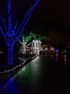 2013-12-31 17.45.57
