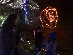 2013-12-31 18.15.54