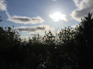 IMG_0188